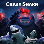 Crazy Shark