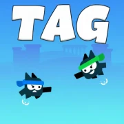 Tag Game