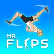 Mr Flip